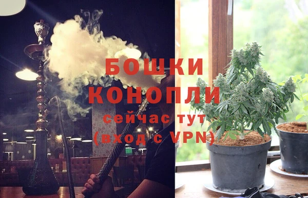 ешки Аркадак