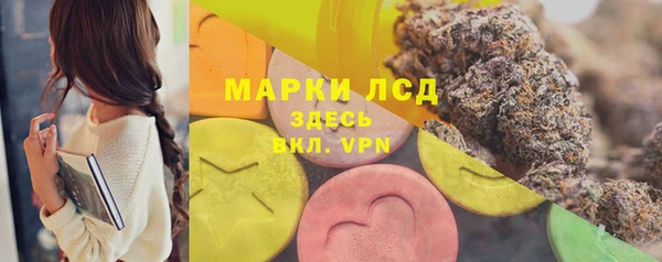 ГАЛЛЮЦИНОГЕННЫЕ ГРИБЫ Алексеевка