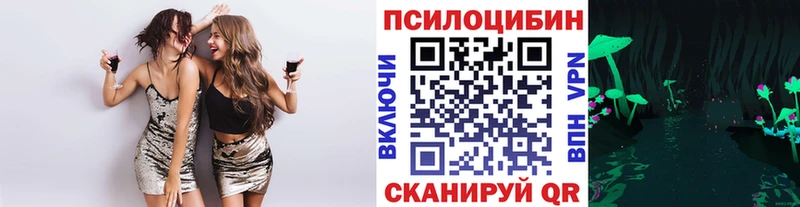 Псилоцибиновые грибы Psilocybine cubensis  Карачев 
